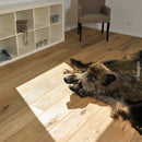 Lalegno / 21-CLASSIC-220-BRUT / Semi-Massif